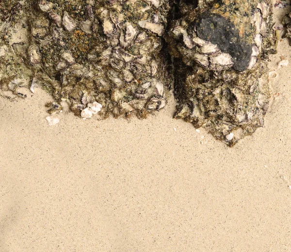 Песчаный Пляж Рамкой Скалы Копирайтом Текста — стоковое фото