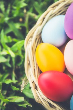 Yeşil çimenlerin üzerinde Paskalya yumurta. bahar tatil kavramı