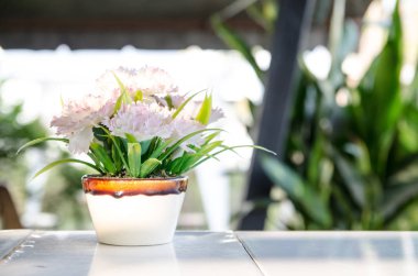 vintage tonda çiçek pot sürecinde Vintage çiçek