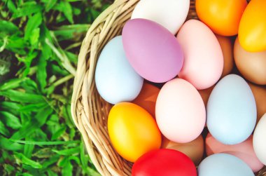 Bulanık yeşil arka plan karşı çim Paskalya yumurtaları. Bahar tatili konsepti