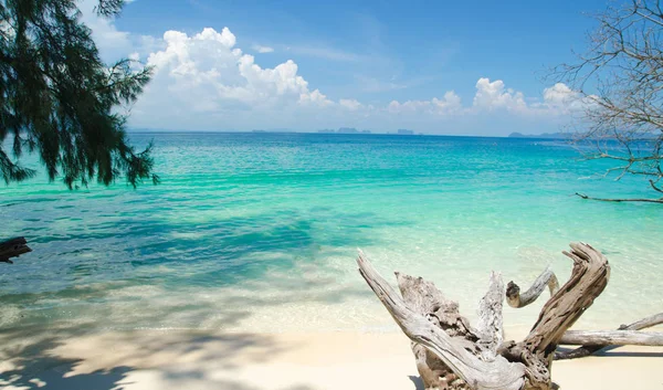 Thailand Paysage Photo Île Sur Trang Province Avec Ciel Bleu — Photo