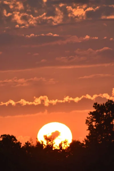 Sonnenuntergang Mit Einer Baumsilhouette Der Sonne — Stockfoto