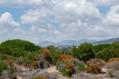Kumullar, bitkiler, dağlar ve gökyüzü