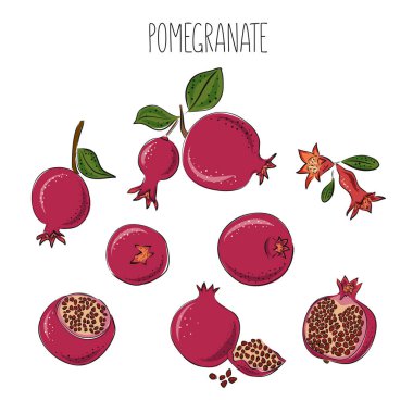 Pembe arka planda kırmızı nar ve tropikal yapraklar vektör çizimi. El çizimi yaz sanatı..