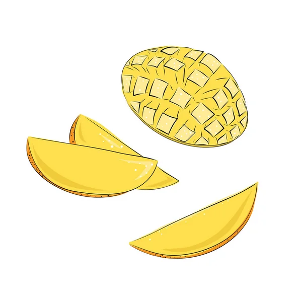 Vektordarstellung einer reifen saftigen Mango mit Blättern. Obst in Scheiben schneiden. Handzeichnung in gelben und orangen Farben. — Stockvektor