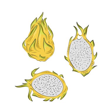 Ejderha meyvesi çizim seti. El çizimi tropikal gıda çizimi. Sarı yaz ejderha meyvesi. Tam ve dilimlenmiş pitya. Etiket, meyve suyu ambalajı tasarımı ve menü için botanik klasik çizimi.