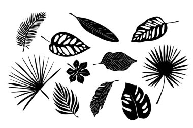 Tropical exotic leaves of palm, monstera, coconut, banana tree. Set of elements, vector illustrated, black and white, silhouette. clipart