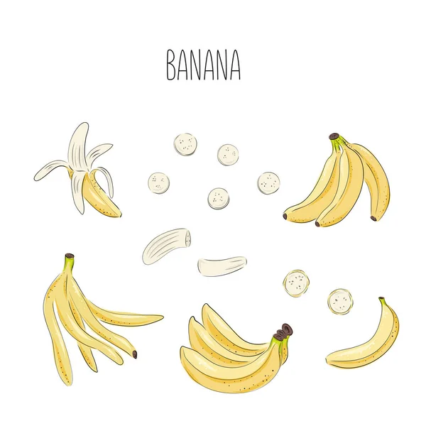 Σύνολο μπανάνα με διανυσματικά σχέδια. Μεμονωμένο μπουκέτο ζωγραφισμένο στο χέρι, τσαμπί, μπανανόφλουδα και φέτες. Καλοκαιρινή απεικόνιση στυλ τέχνης φρούτων. Λεπτομερές χορτοφαγικό φαγητό. Μεγάλη για ετικέτα, αφίσα, εκτύπωση. — Διανυσματικό Αρχείο