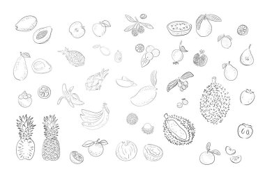 Büyük belli meyveler. Parlak ve renkli armut, elma, limon, karpuz, portakal, durian, pithaya, ananas, mango, mangosteen, rambutan, muz, nar, hurma, avokado, papaya, guava