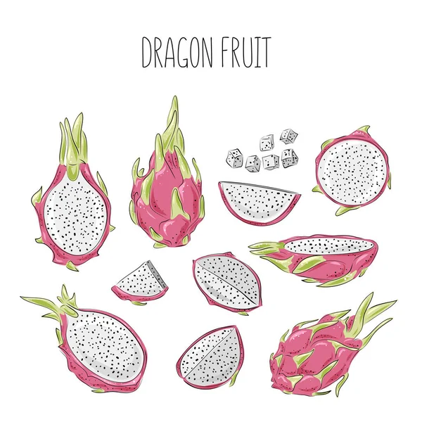 Dragon Fruit Διάνυσμα Σχέδιο Μεγάλο Σύνολο Χειροποίητη Τροπική Απεικόνιση Τροφίμων — Διανυσματικό Αρχείο