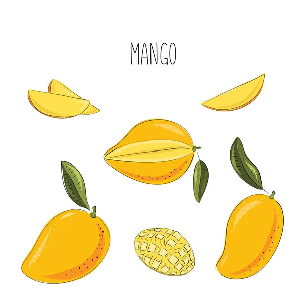 Vektordarstellung einer reifen saftigen Mango mit Blättern. Schneiden Sie in Scheiben schneiden und ganze Früchte. Handzeichnung in gelben und orangen Farben. — Stockvektor
