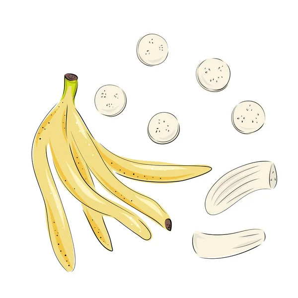 Banana conjunto de desenhos vetoriais. Buquê isolado desenhado à mão, maço, casca de banana e pedaços cortados. Ilustração de estilo de arte de fruta de verão. Comida vegetariana detalhada. Ótimo para etiqueta, cartaz, impressão. — Vetor de Stock