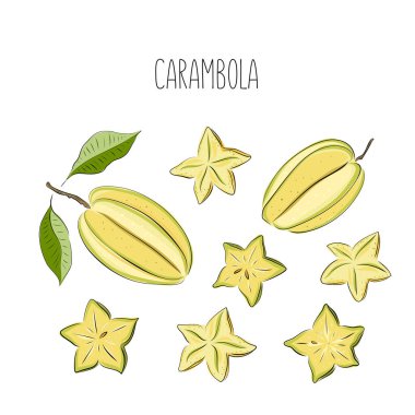 Carambola, yıldız meyvesi. Tam, dilimle, yaprak. Beyaz arka planda izole edilmiş renkli tropikal meyve koleksiyonu. Karalama el meyve ikonları çizdi. Vektör illüstrasyonu