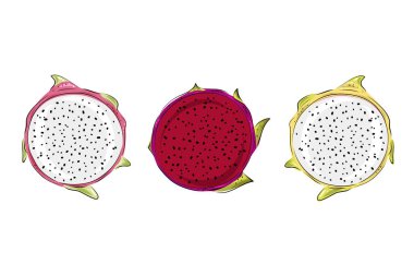Ejderha meyve vektör grafikleri ayarlandı. El çizimi tropikal gıda çizimi. Pembe, kırmızı ve sarı yaz ejderha meyvesi. Yuvarlak dilimlenmiş pitahaya. Etiket ve meyve suyu ambalajı tasarımı için botanik eskizi.