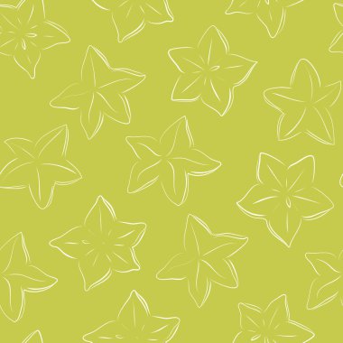 Yeşil arka planda yıldız meyveli karambola izole edilmiş kusursuz petrolcü. Tropikal bitki tasviri. El çizimi biçimi.