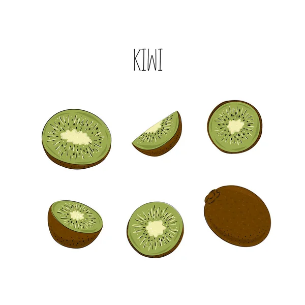 Grand Ensemble Fruits Verts Juteux Kiwis Sur Fond Blanc Morceaux — Image vectorielle