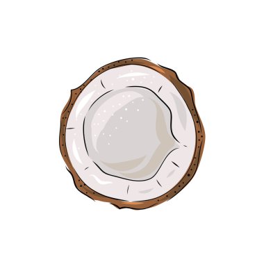 Hindistan cevizi - Hindistan cevizi ve hindistan cevizi hamuru. Yarı tropikal meyve. El çizimi biçiminde vektör illüstrasyonu.