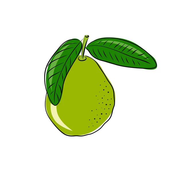 Guave Frucht Und Eine Scheibe Vereinzelte Objekte Guaven Frucht Logo — Stockvektor