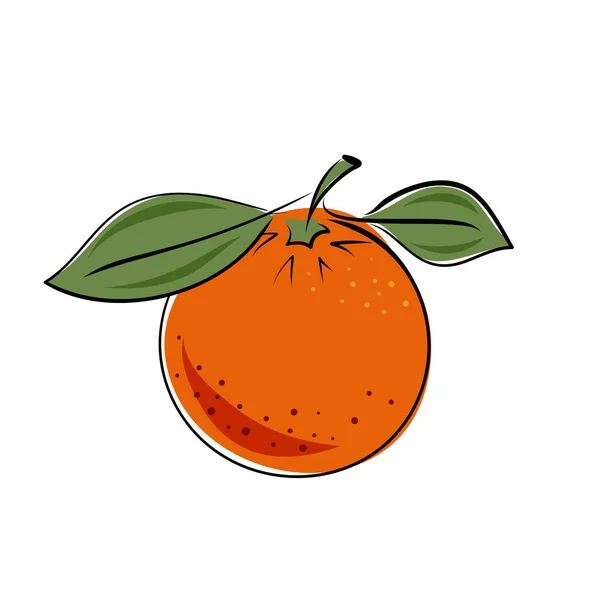 Grapefruit Hand Auf Weißem Hintergrund Gezeichnet Zitrusfrüchte Als Geschenkkarte Logo — Stockvektor