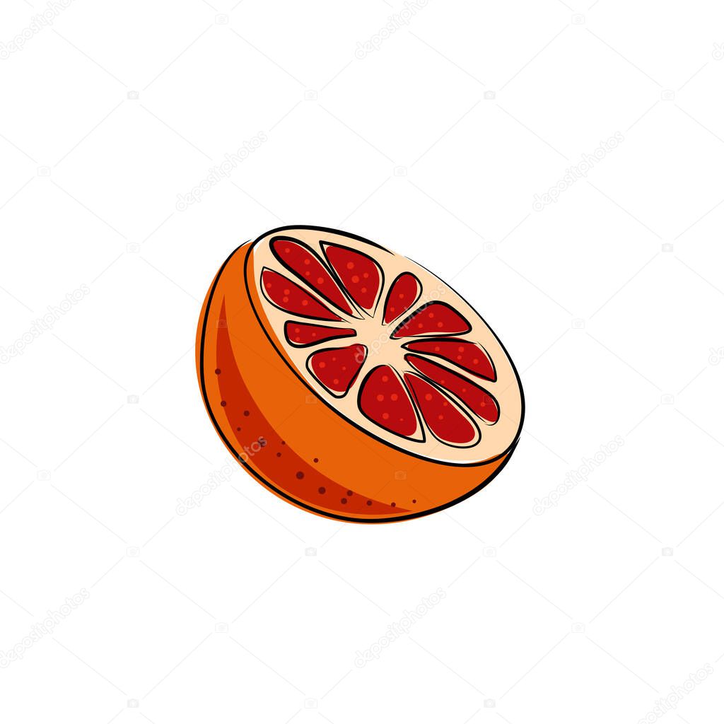 Grapefruit hand drawn on white isolated backdrop. Citrus fruit for gift card, healthy food shop logo, bath tile, juice pack. Phone case or cloth print art. Drawn style stock vector illustration