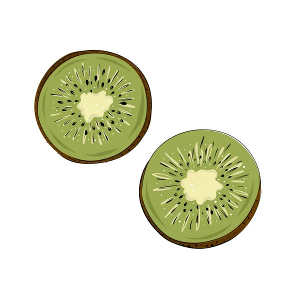 Set Juicy Green Kiwi Fruits White Background Cut Pieces — Stock Vector