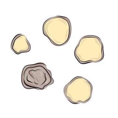 Zencefil kökü çizimi. Beyaz arkaplanda karikatür vektör simgesi izole edildi. Yemek ve yemek malzemeleri serisi. Parçalanmış baharat