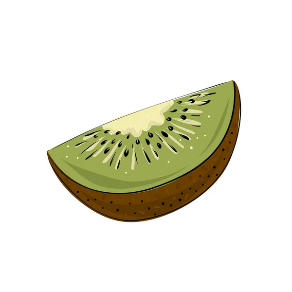 Fruta kiwi verde suculenta em um fundo branco. Peças cortadas. — Vetor de Stock