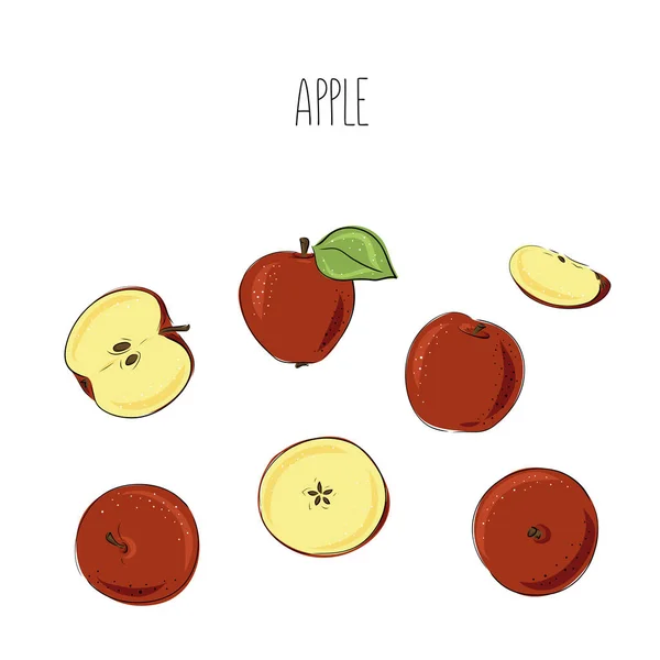 Σπαστά Μήλα Χειροποίητα Εικονογράφηση Διανυσματικών Τροφίμων Σκετς Κλασσικό Στυλ Φέτα — Διανυσματικό Αρχείο