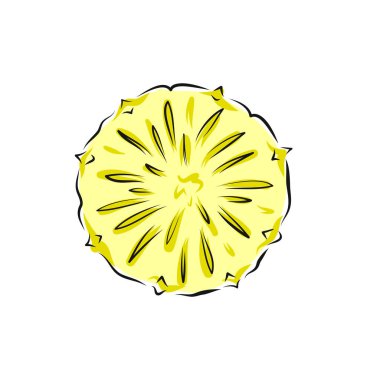 El çizimi tarzında ananas dilimlerinin vektör çizimi. Meyve dilimi. Robot resim. Beyaz arkaplandaki element.