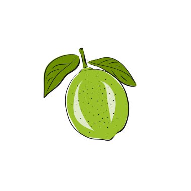 Limonun vektör soyut çizimi. Kartpostal, menü, pankart, poster, reklam ve diğerleri için ayrı bir meyve dilimi. çizim ve el çizimi.