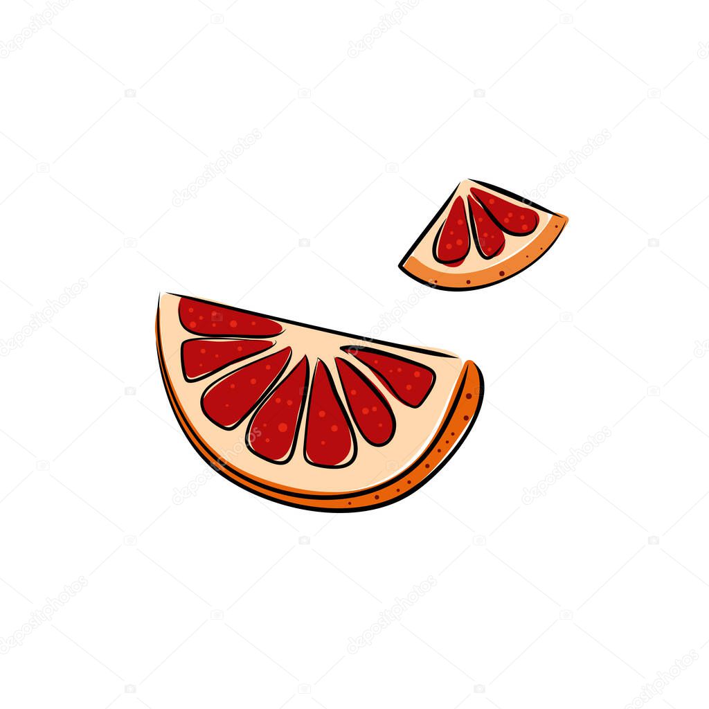Grapefruit hand drawn on white isolated backdrop. Citrus fruit for gift card, healthy food shop logo, bath tile, juice pack. Phone case or cloth print art. Drawn style stock vector illustration