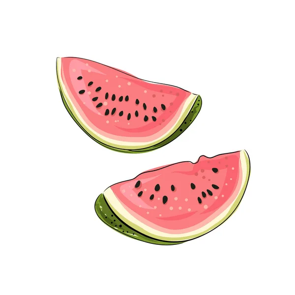 Streifen Und Rote Wassermelone Mit Schwarzen Samen Scheiben Schneiden Skizzenstil — Stockvektor
