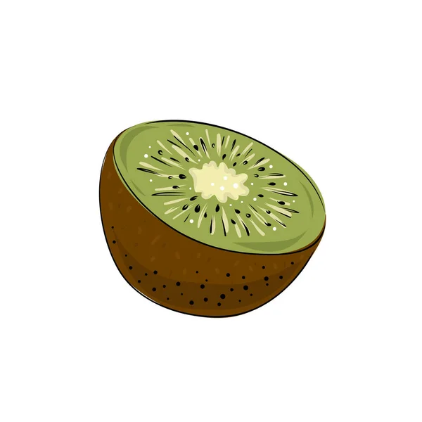 Saftig Grön Kiwi Frukt Vit Bakgrund Styckningsdelar — Stock vektor