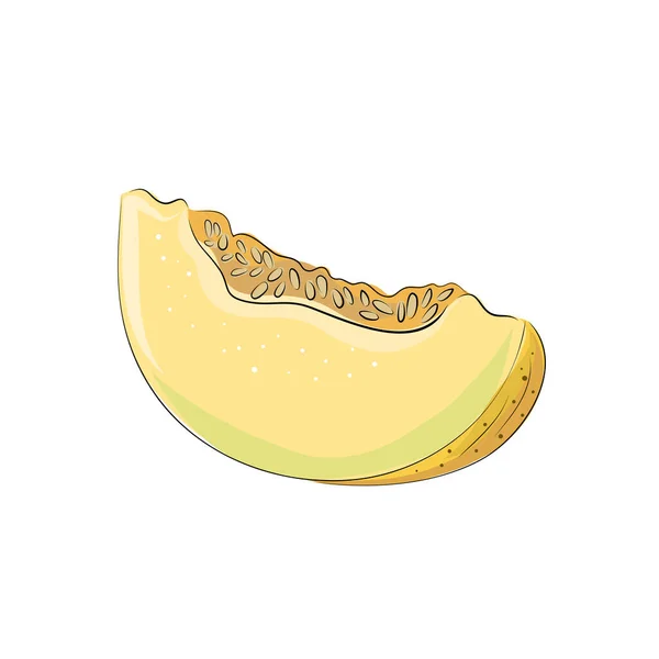 Ensemble Illustration Vectorielle Dessinée Main Melon Jaune Sur Fond Blanc — Image vectorielle