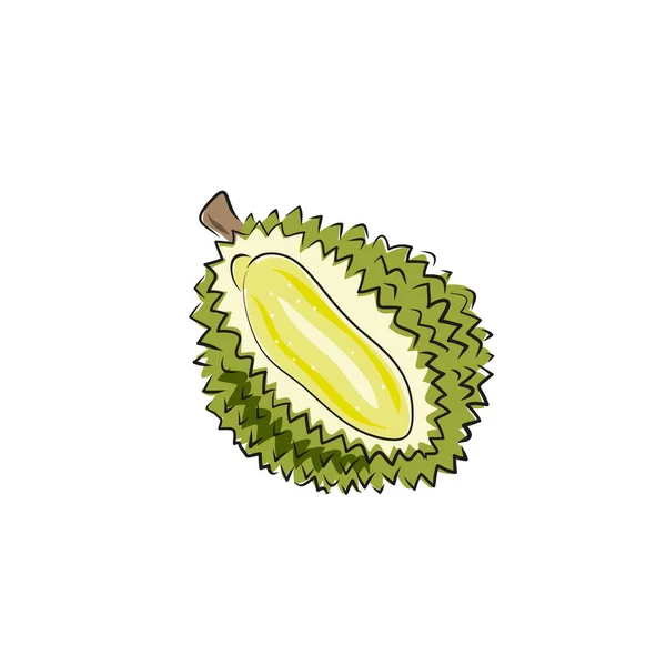 Ilustración Vectorial Dibujada Mano Fruta Boceto Exótica Durian Tropical — Vector de stock