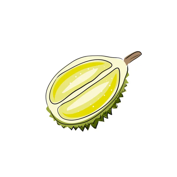 Ilustración Vectorial Dibujada Mano Fruta Boceto Exótica Durian Tropical — Vector de stock