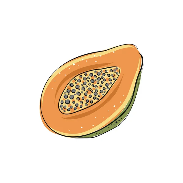 Papaye Ensemble Papaye Dessinée Main Aliments Biologiques Frais Illustration Vectorielle — Image vectorielle