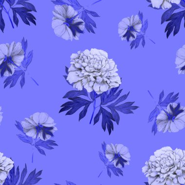 Çiçeksiz desenli, çiçek açan şakayıklar. Klasik botanik şakayık çiçek baskısı. El çizimi boya kalemi çizimi.