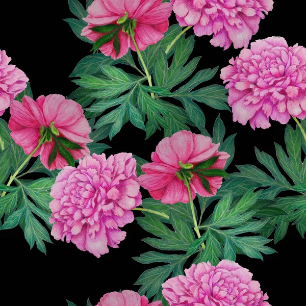 Kwiatowy Bezszwowy Wzór Pięknymi Kwitnącymi Piwoniami Vintage Botaniczny Peony Kwiat — Zdjęcie stockowe