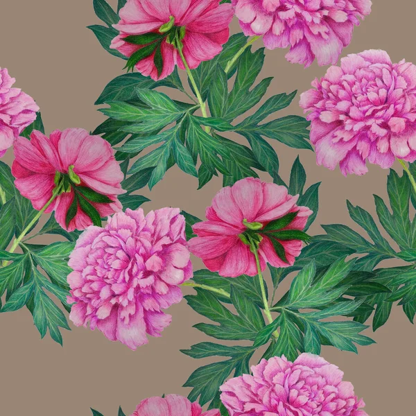 Kwiatowy Bezszwowy Wzór Pięknymi Kwitnącymi Piwoniami Vintage Botaniczny Peony Kwiat — Zdjęcie stockowe