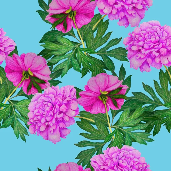 美しい開花牡丹と花のシームレスなパターン ヴィンテージ植物牡丹の花のプリント 手描きクレヨンイラスト — ストック写真