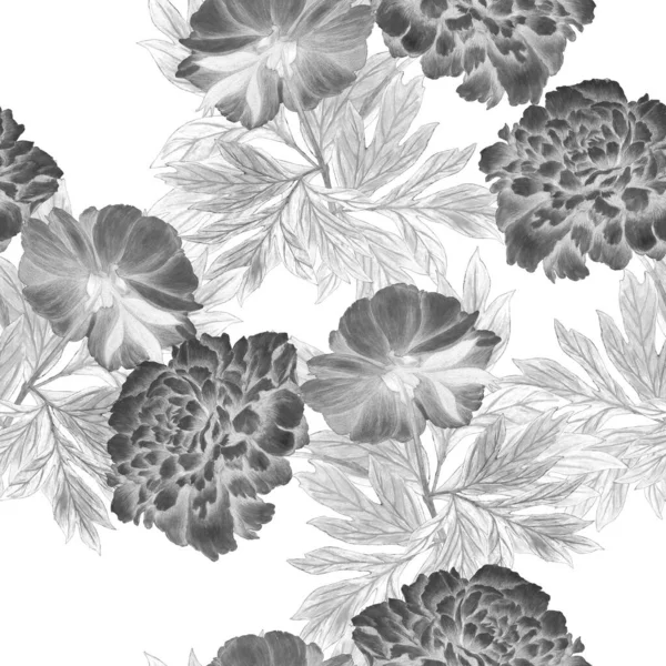Квітковий Безшовний Візерунок Красивими Квітучими Півоніями Вінтажний Ботанічний Квітковий Принт — стокове фото