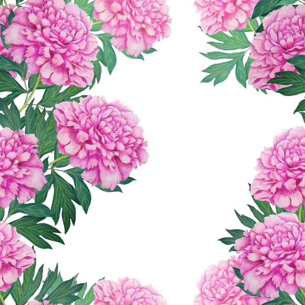美しい開花牡丹と花のシームレスなパターン 植物牡丹の花のプリント テキスト用スペース付きの夏のグリーティングカード 手描きクレヨンイラスト — ストック写真