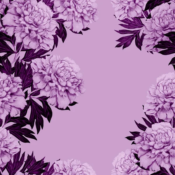 Bloemen Naadloos Patroon Met Prachtige Bloeiende Pioenen Botanische Pioenbloemenprint Zomer — Stockfoto