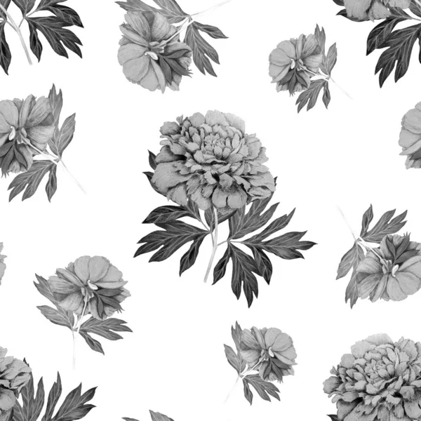 Floral Seamless Pattern Beautiful Blooming Peonies Vintage Botanic Peony Flower — Stock Photo, Image