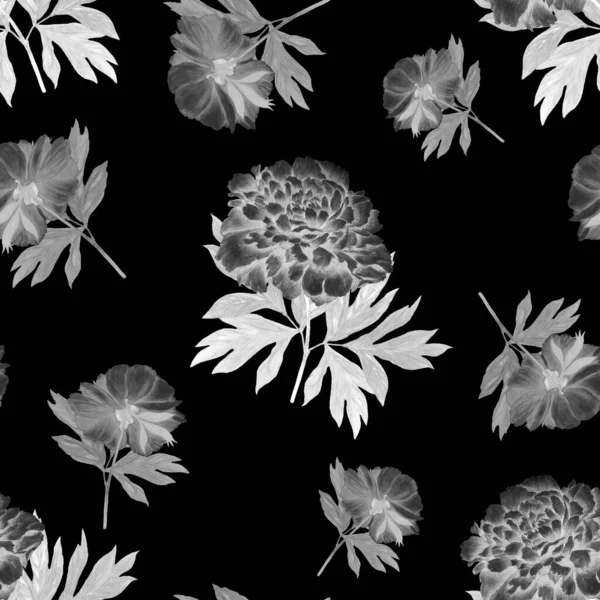 Virágos Zökkenőmentes Minta Gyönyörű Virágzó Bazsarózsa Vintage Botanikus Bazsarózsa Virág — Stock Fotó