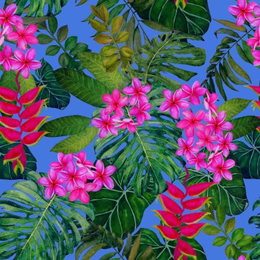Hawaii çiçeksiz desenli suluboya tropikal yapraklar ve çiçekler. Egzotik Plumeria ve Heliconia. Renkli el çizimi çizimi. Tropik yaz baskısı.