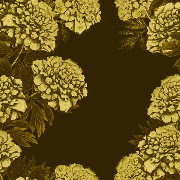 Цветочный Бесшовный Узор Красивыми Цветущими Пионами Ботанический Цветочный Отпечаток Пиона — стоковое фото