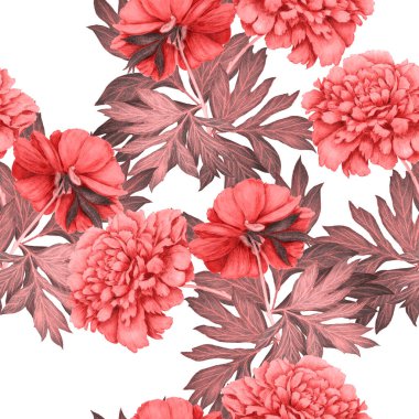 Çiçeksiz desenli, çiçek açan şakayıklar. Dekoratif botanik şakayık çiçek izi. El çizimi boya kalemi çizimi.