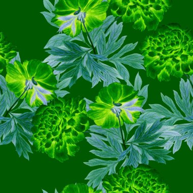 Çiçeksiz desenli, çiçek açan şakayıklar. Dekoratif botanik şakayık çiçek izi. El çizimi boya kalemi çizimi.